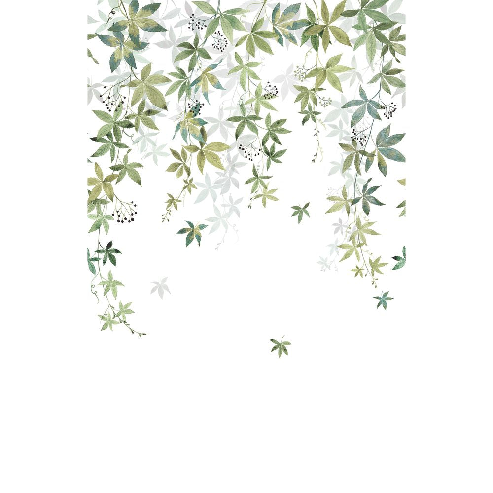 Tapetti Vigne En Fleur_L Vert Olive 200X310 cm