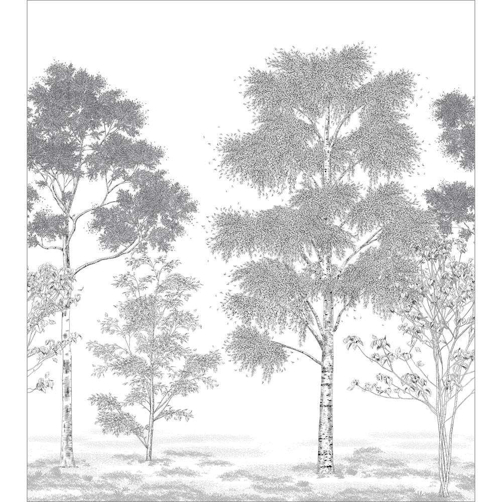 Tapetti Poesie Printaniere Noir 250X280 cm