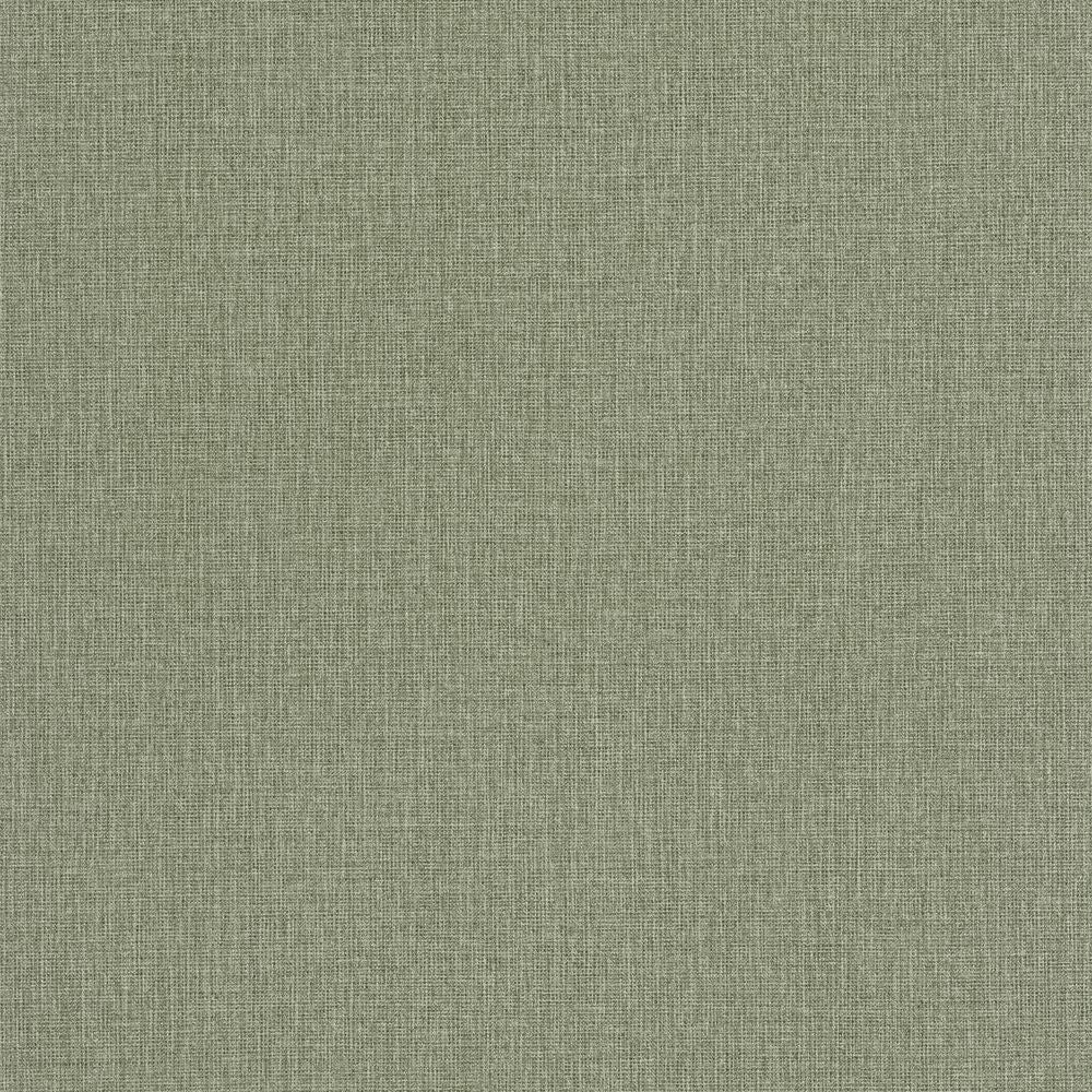 Tapetti Uni Mat Vert Fougere 0,53x10,05m