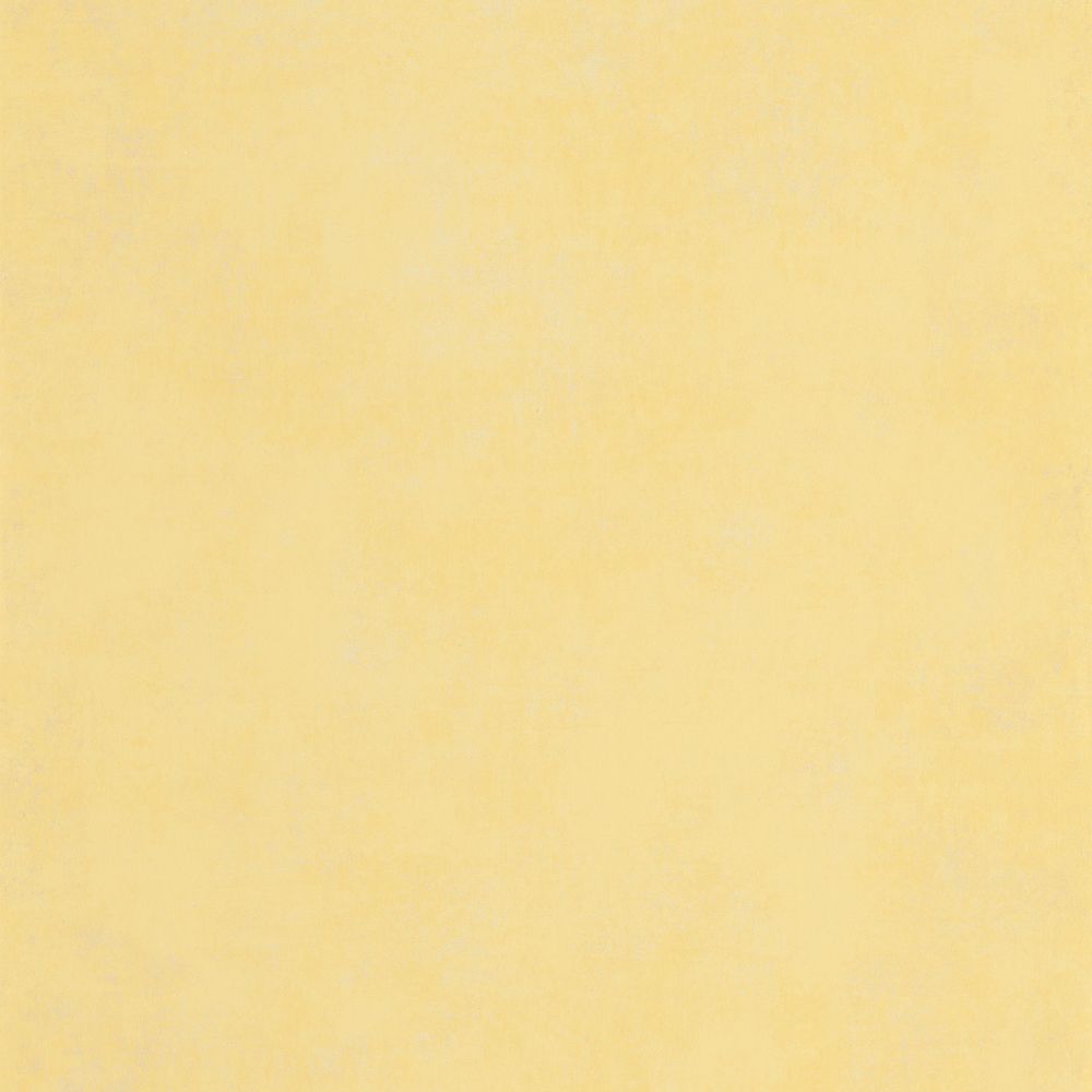 Tapetti Stone Jaune Alchemille 0,53x10,05m