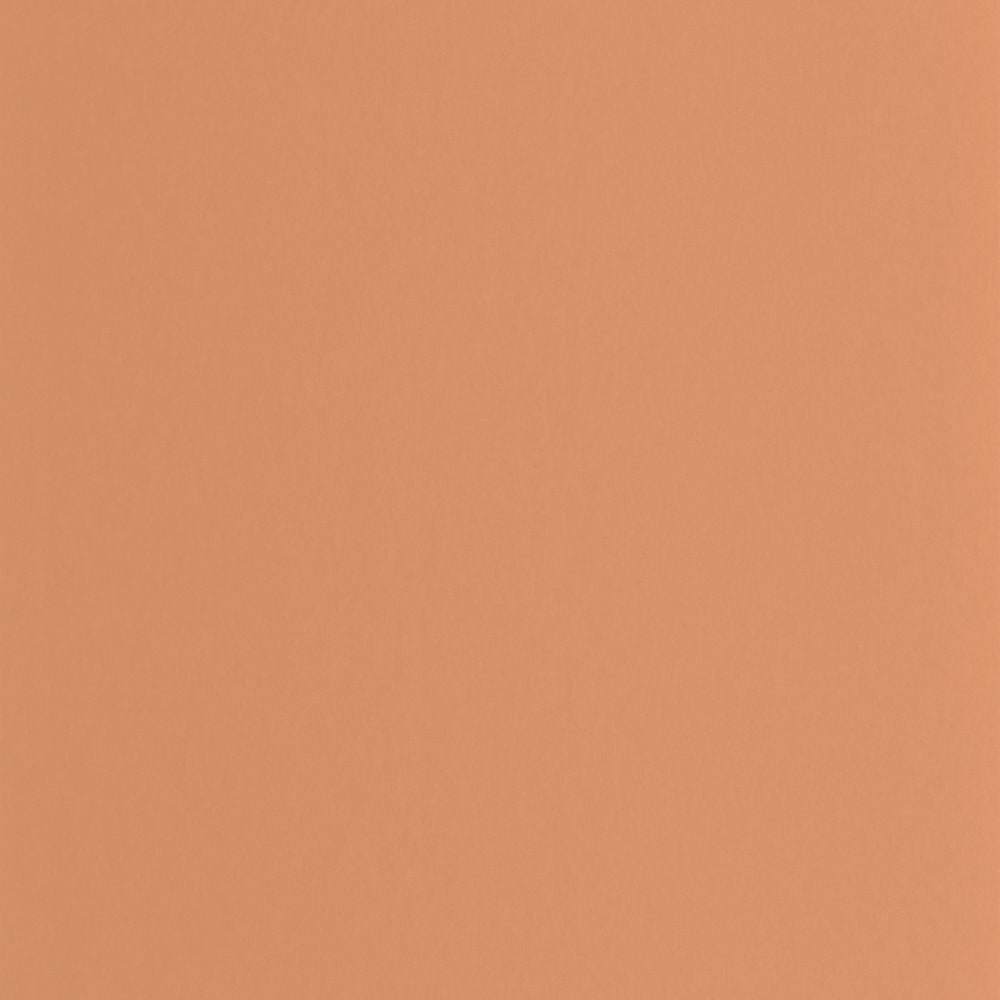 Tapetti Pigments Terracotta 0,53x10,05m
