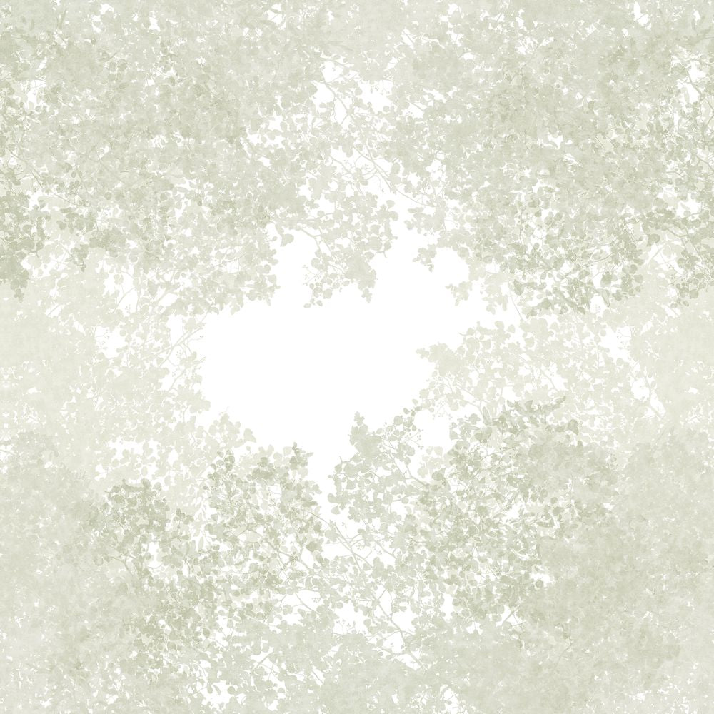 Tapetti Chemin Des Cimes_L Vert Lichen 300X310 cm