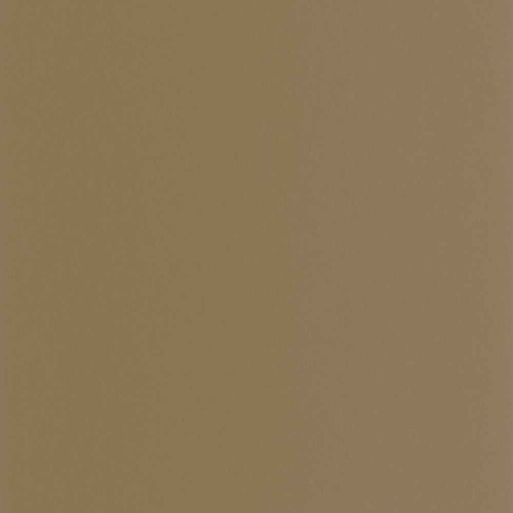 Tapetti Pigments Tabac 0,53x10,05m