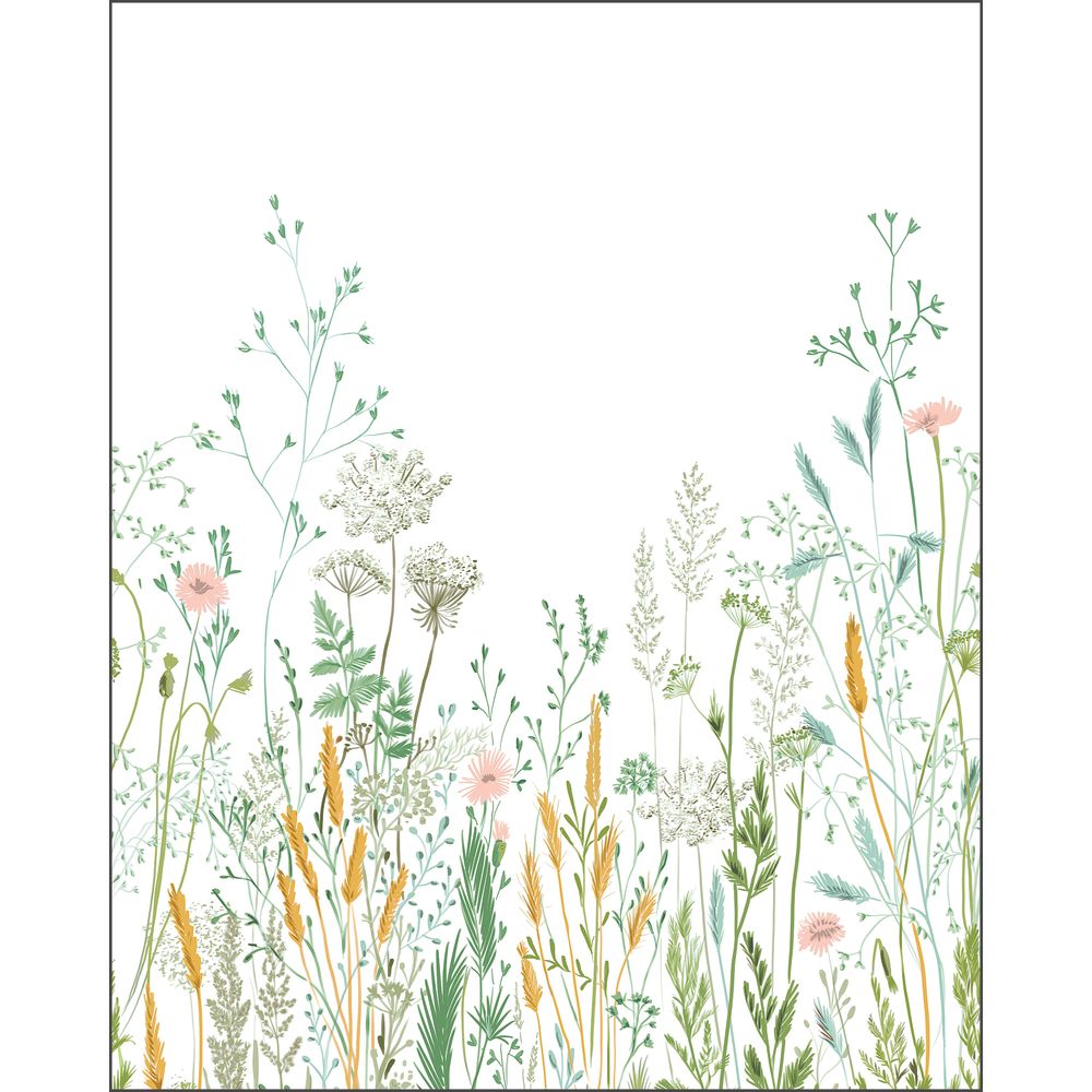 Tapetti Herbarium_S Multicouleurs 200X250 cm