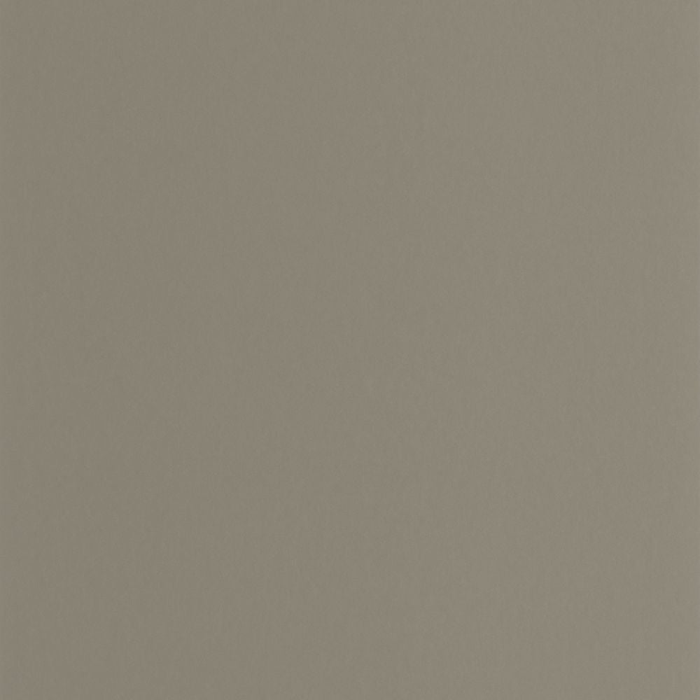 Tapetti Pigments Gris Elephant 0,53x10,05m