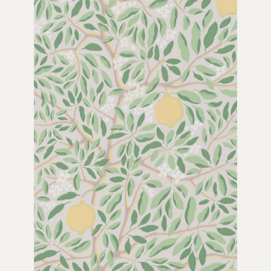 Tapetti Citrus
