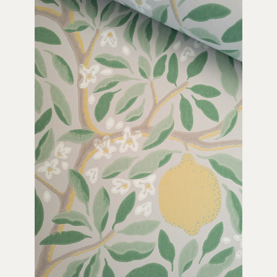 Tapetti Citrus