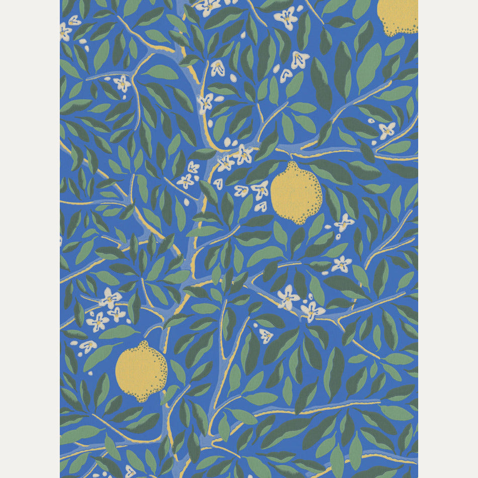 Tapetti Citrus