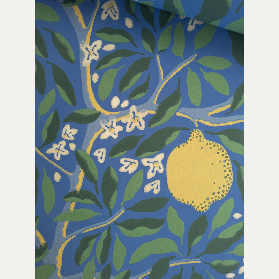 Tapetti Citrus