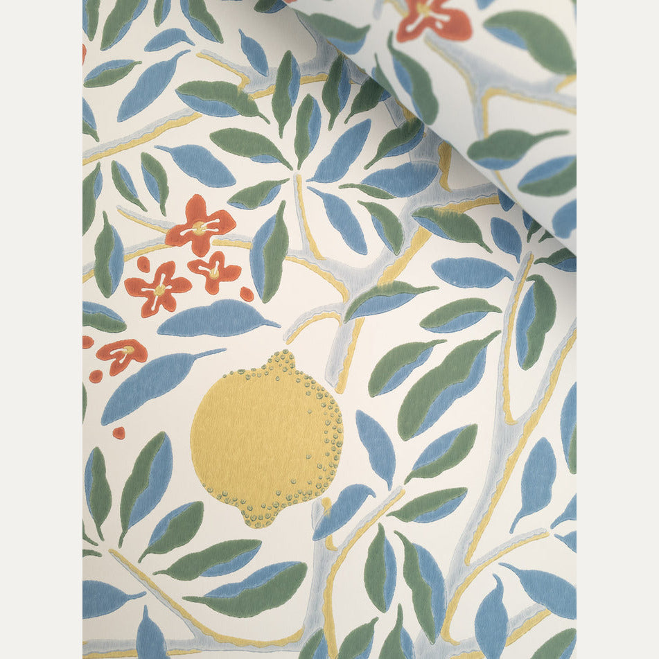 Tapetti Citrus