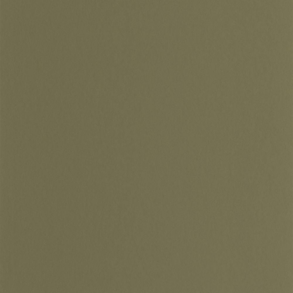 Tapetti Pigments Vert Kaki 0,53x10,05m