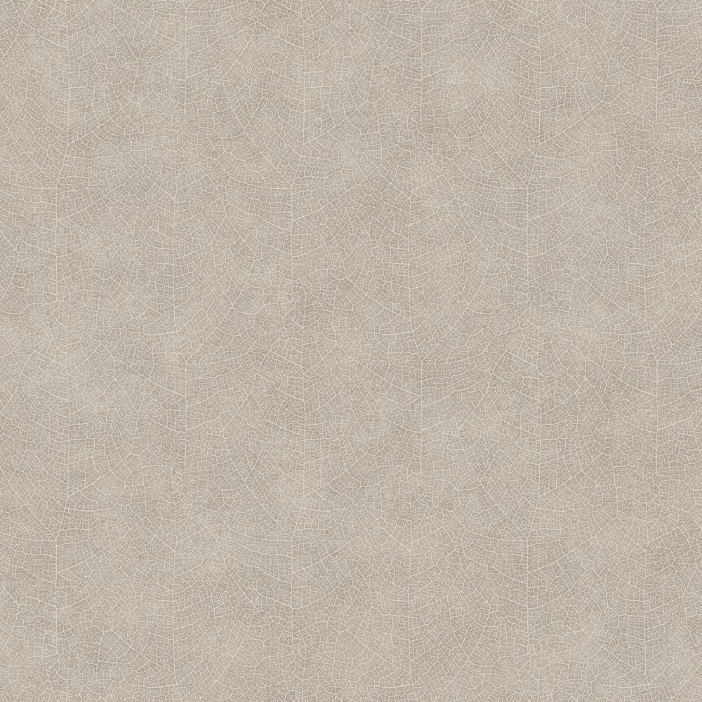 Tapetti Nervure Taupe 0,53x10,05m