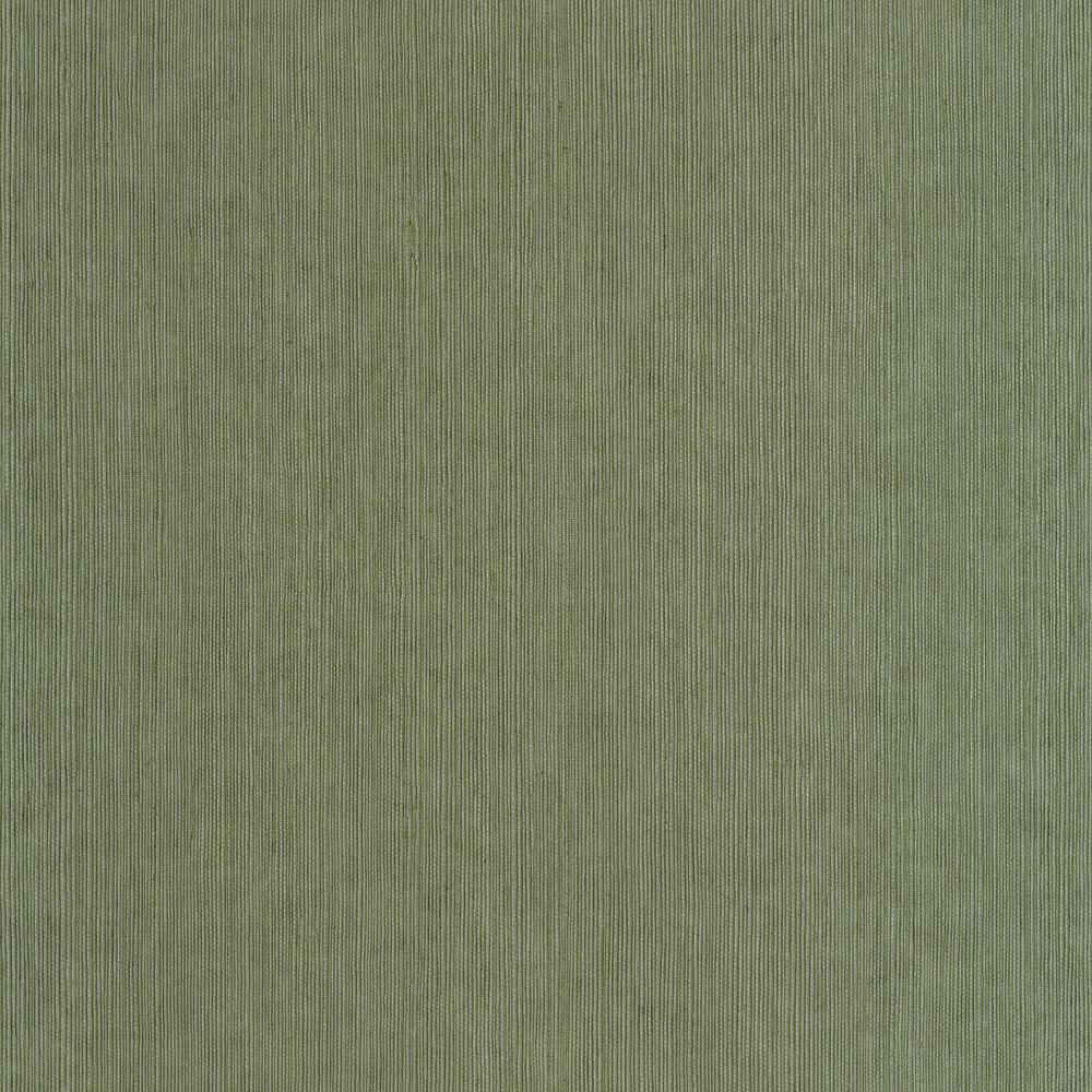 Tapetti Sisal Vert Mousse 0,53x10,05m