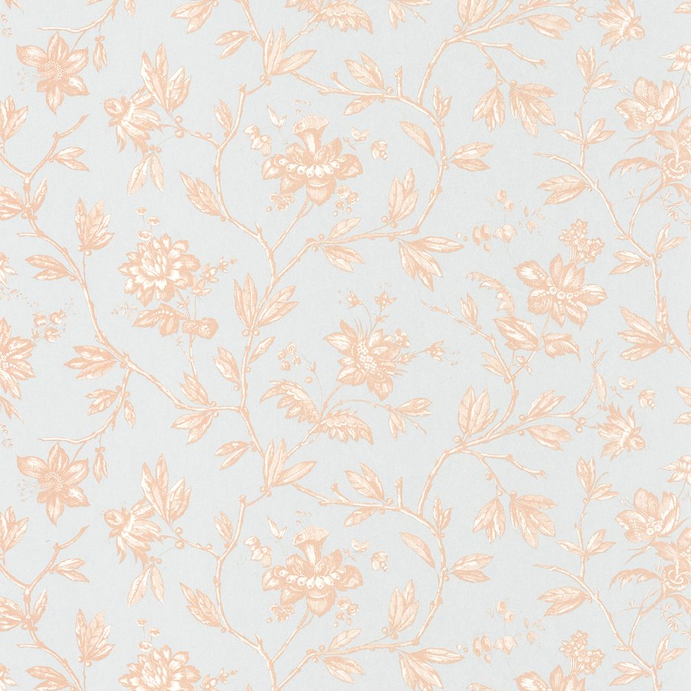 Tapetti Rosa Rose Pêche 0,53x10,05m