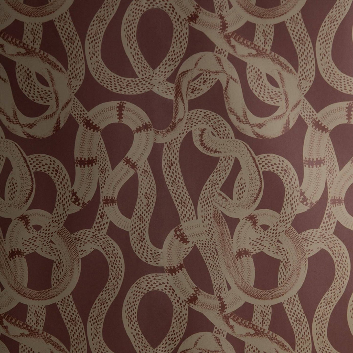 Tapetti Snake Peek