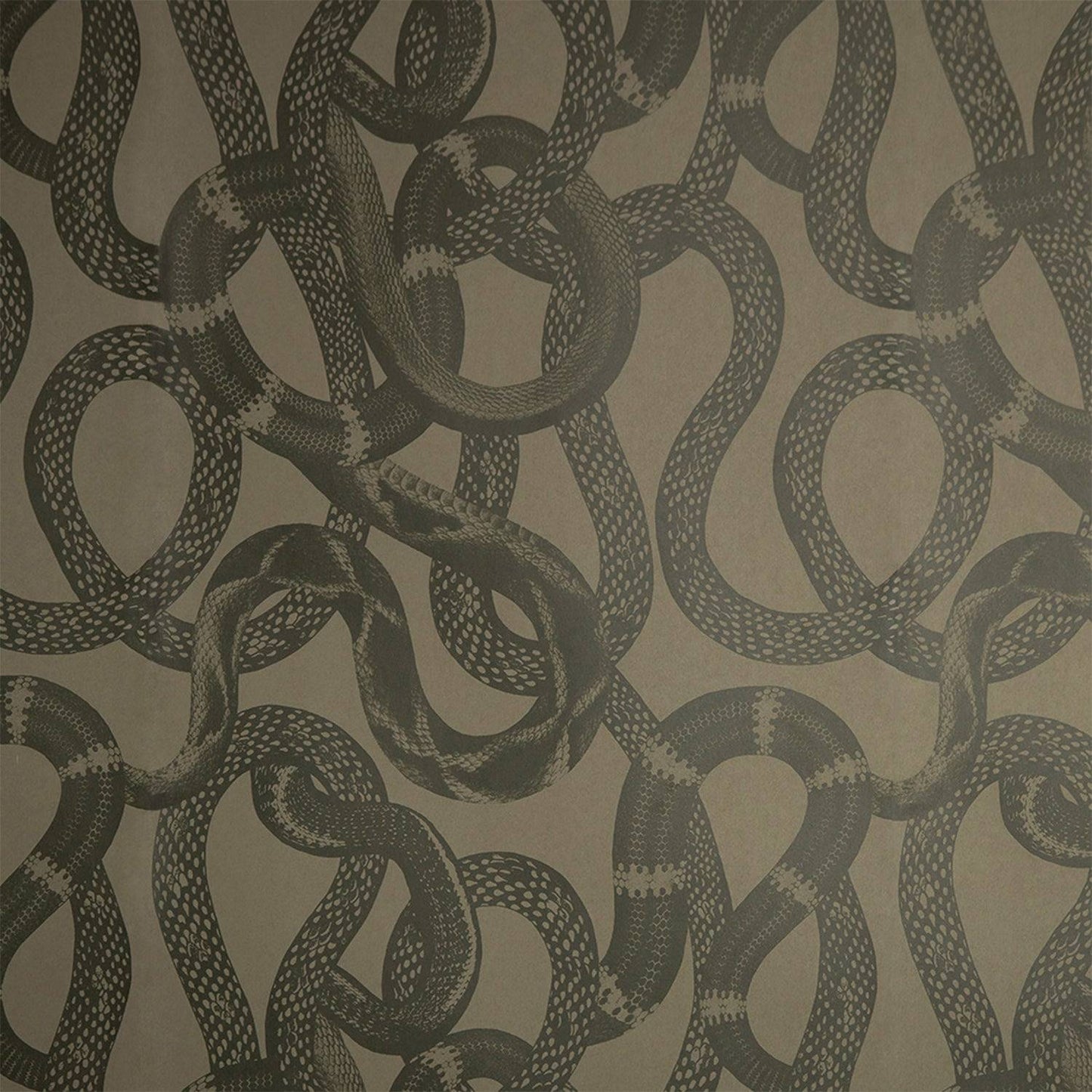Tapetti Snake Peek