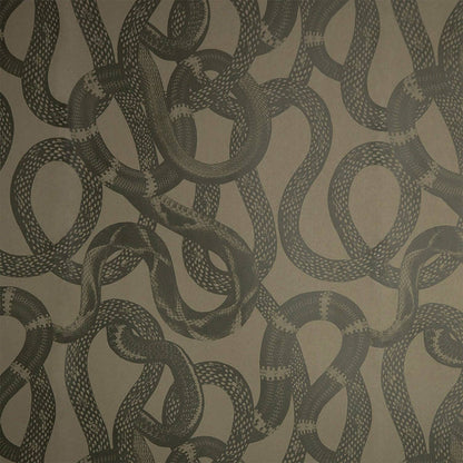 Tapetti Snake Peek
