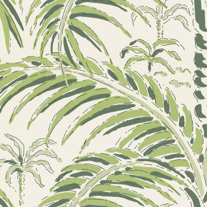 Tapetti Palm House