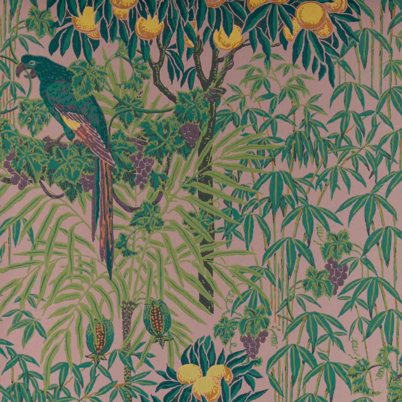 Tapetti Macaw
