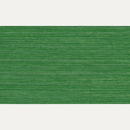 Tapetti Marsh