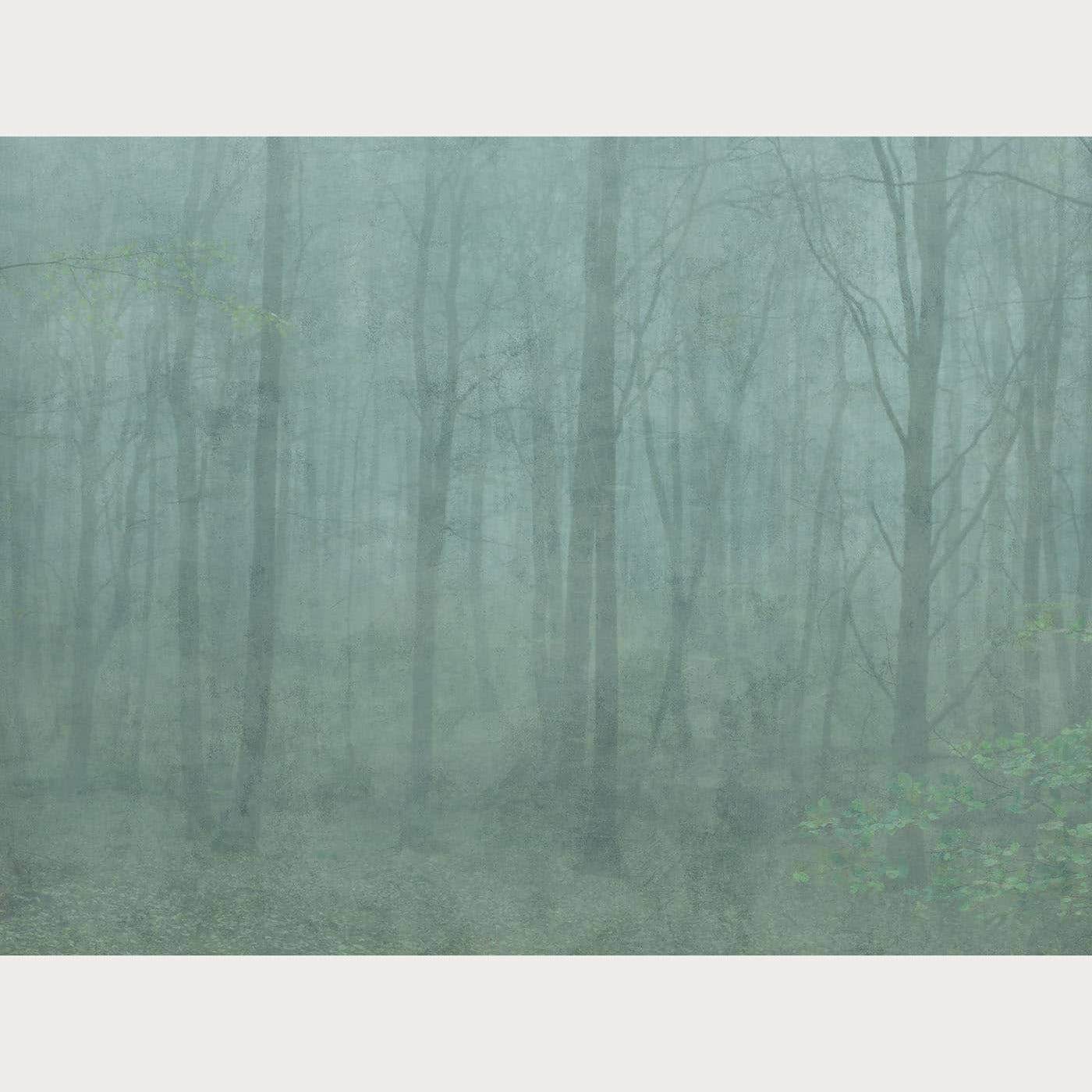 Kuvatapetti Skog (7553251279080)