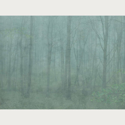 Kuvatapetti Skog (7553251279080)