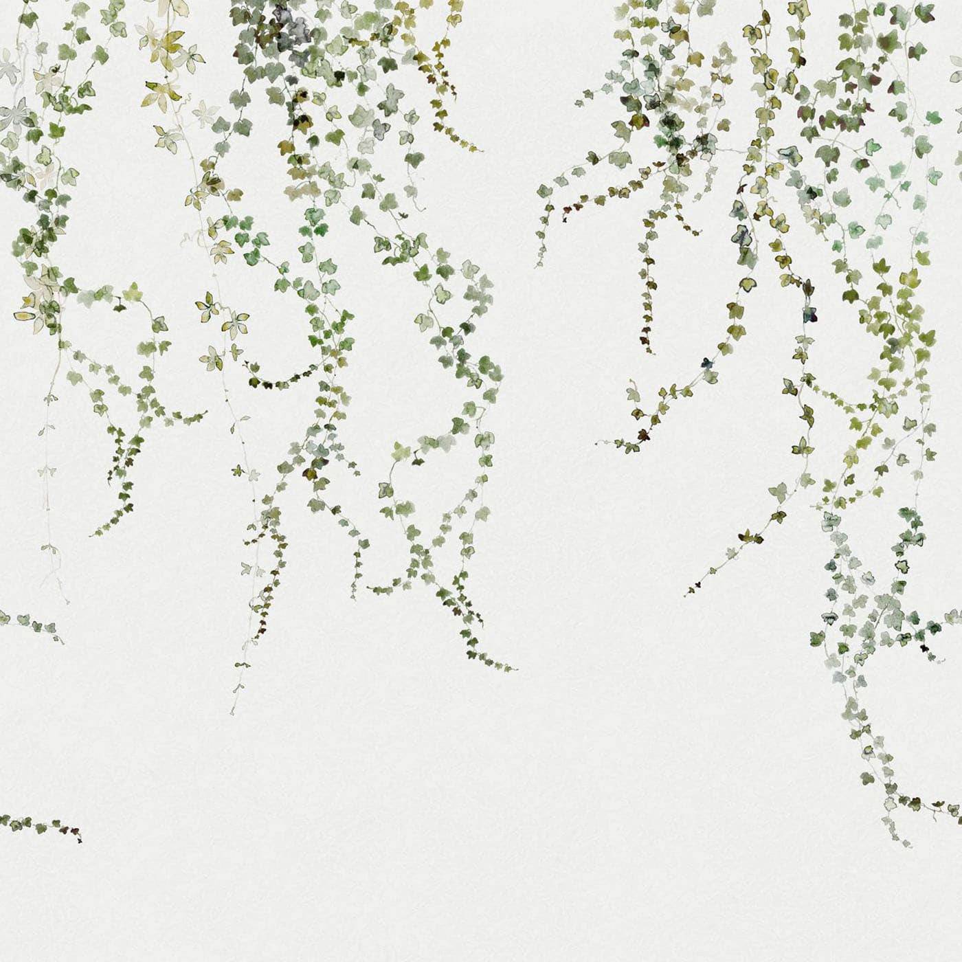 Kuvatapetti Aralia (7553250558184)