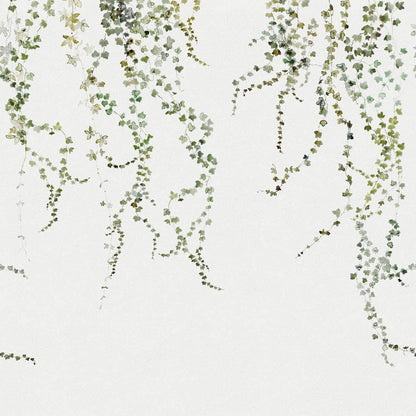 Kuvatapetti Aralia (7553250558184)