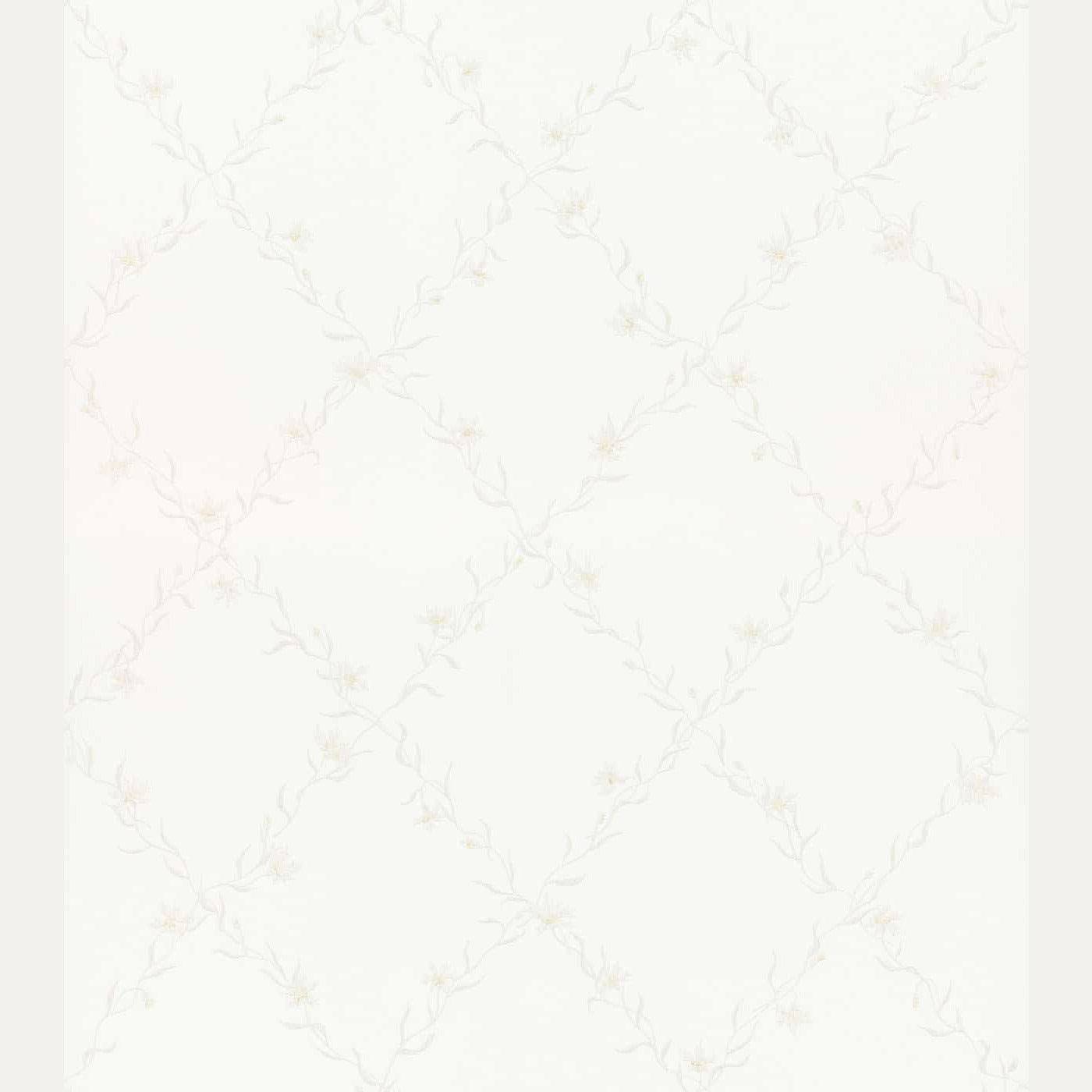 Tapetti Ewa (7553252557032)
