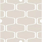 Tapetti Net and Ball