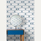 Tapetti Net and Ball