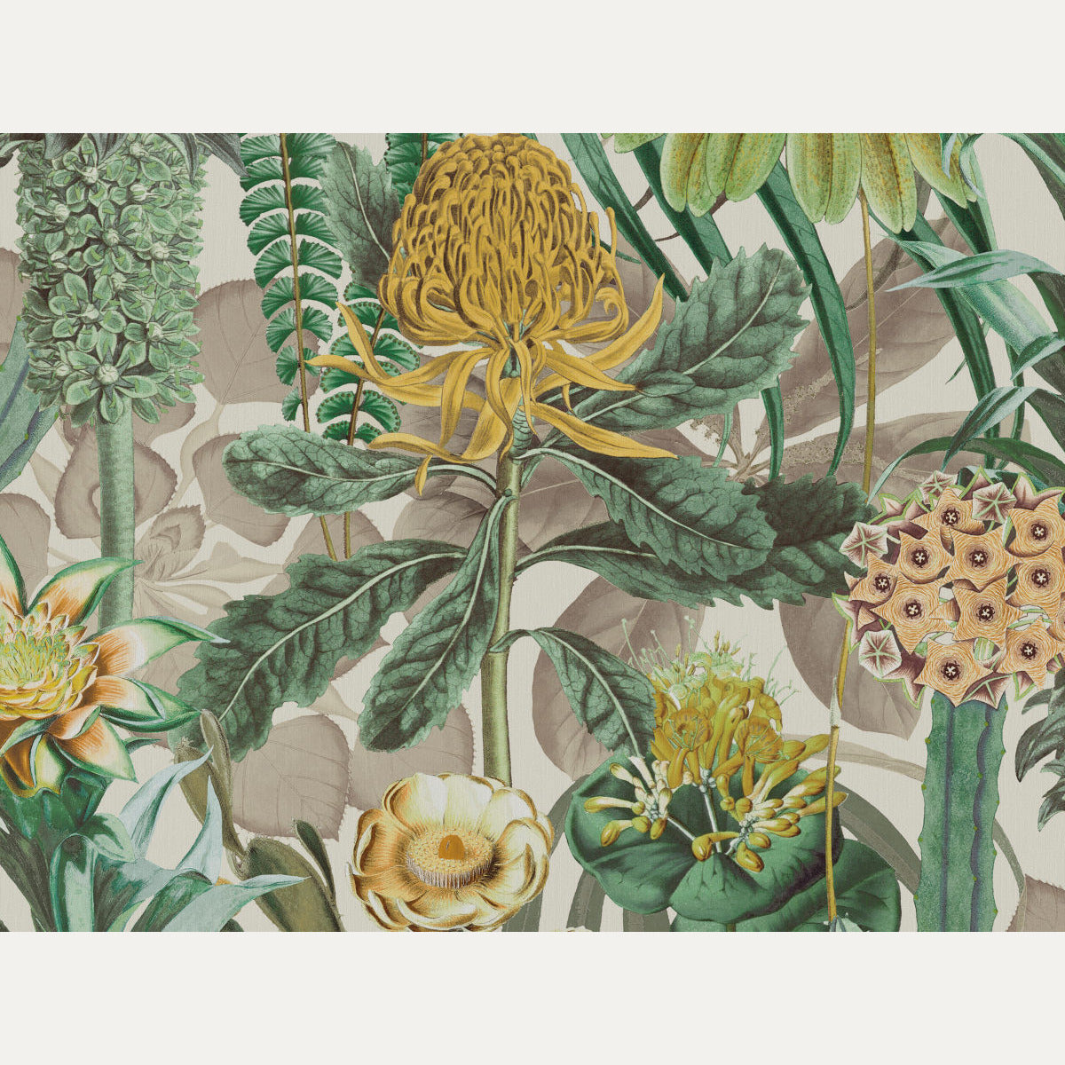 Tapetti Birds of Paradise BOP601