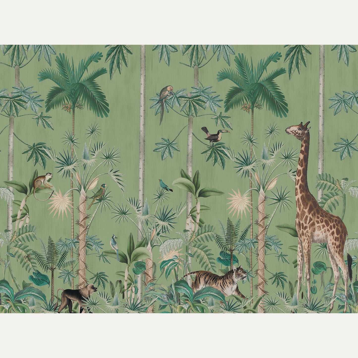 Kuvatapetti Giraffe's Stroll