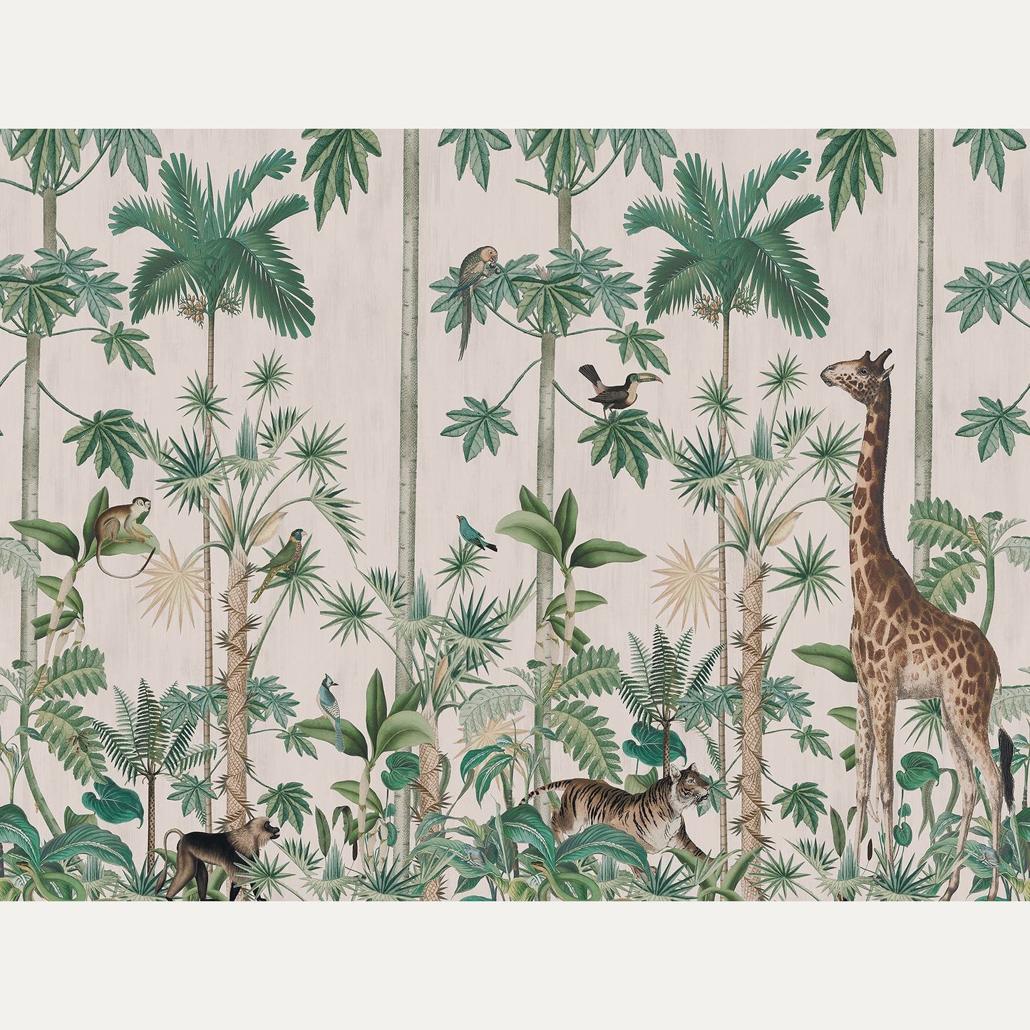 Kuvatapetti Giraffe's Stroll