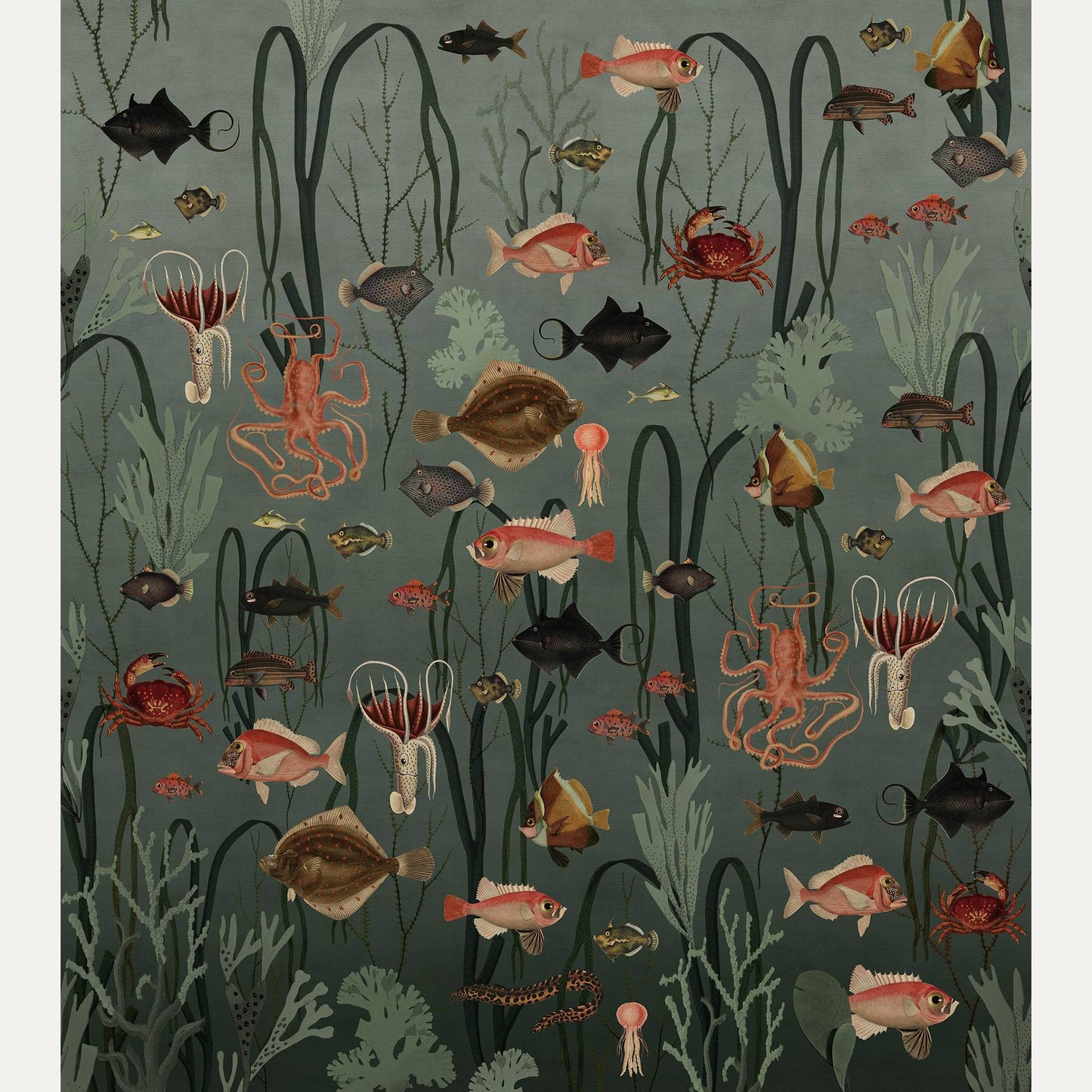 Kuvatapetti Aquatic Life