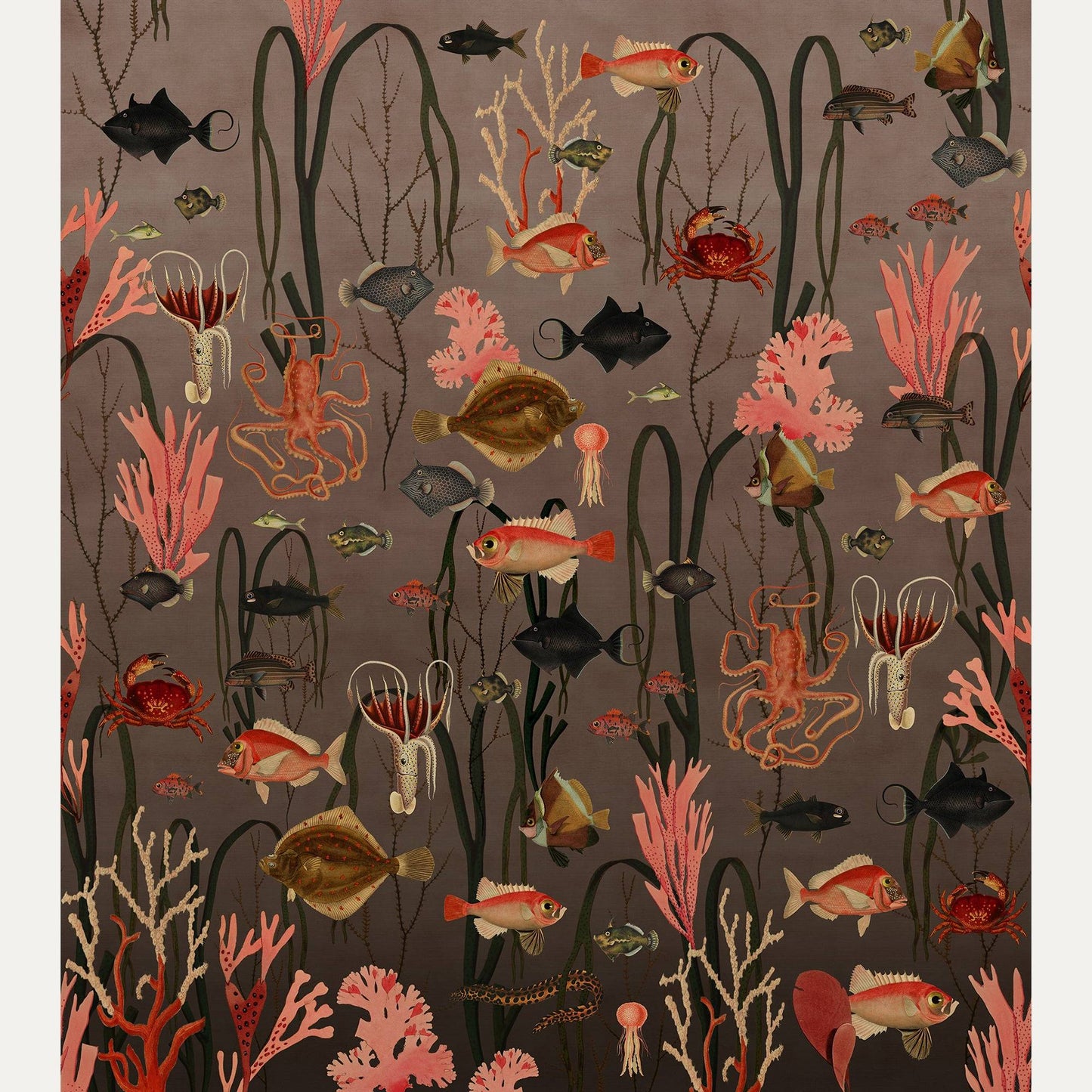 Kuvatapetti Aquatic Life