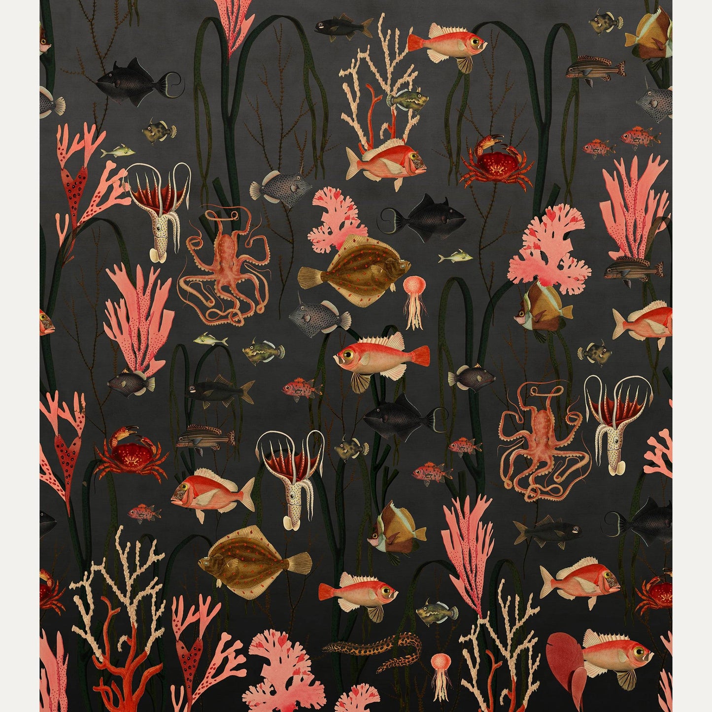 Kuvatapetti Aquatic Life
