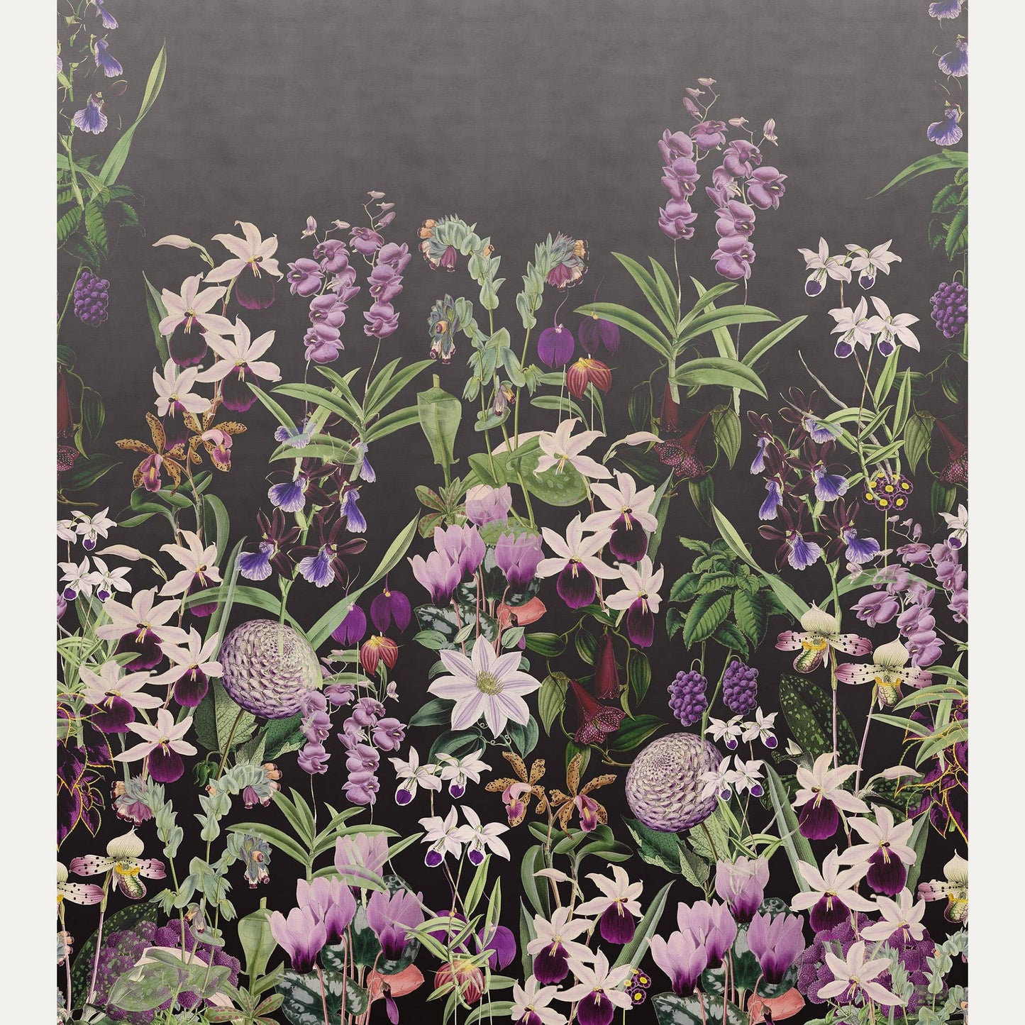 Kuvatapetti Alice's Garden