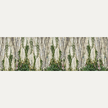 Kuvatapetti Climbing Ivy