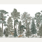 Kuvatapetti Scandinavian Bellewood