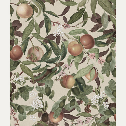 Tapetti Peach Valley