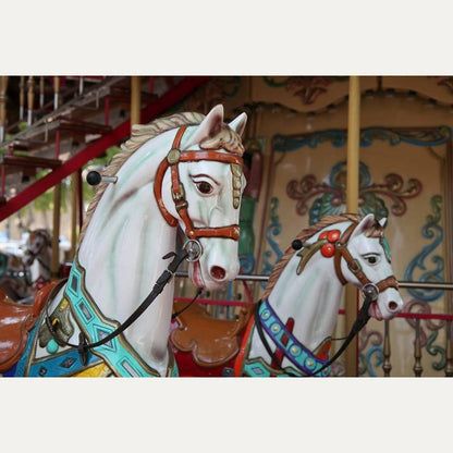 Kuvatapetti Carousel